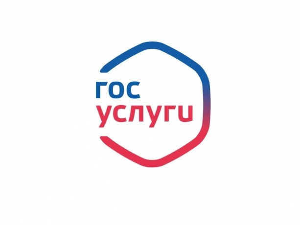 Жители Апанасенковского муниципального округа Ставропольского края могут получить муниципальные услуги в электронном виде на портале «Госуслуги».
