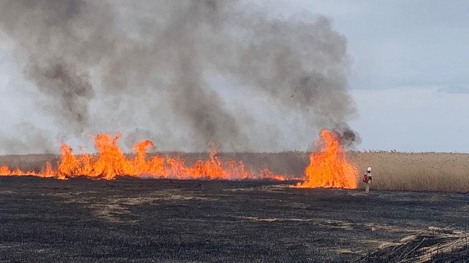 Информация о сложившейся обстановки с пожарами на территории Апанасенковского муниципального округа Ставропольского края.