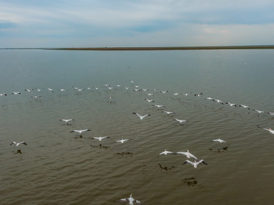 Природный заказник «Маныч-Гудило».